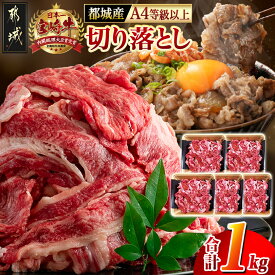 【ふるさと納税】都城産宮崎牛切り落とし【A4等級以上】 - 牛肉 宮崎牛切り落とし肉(200g×5パック) 冷凍・小分けパック 切落とし肉 A4ランク 送料無料 MJ-7702【宮崎県都城市は2年連続ふるさと納税日本一！】