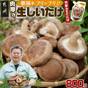 yӂ邳Ɣ[ŁzsŶ - ݂t ̂ꐶő ǂ񂱒ő 蕨EMtgɂ Y {茧Y `[YƂQ RVY ①ۑ/Ⓚۑ 