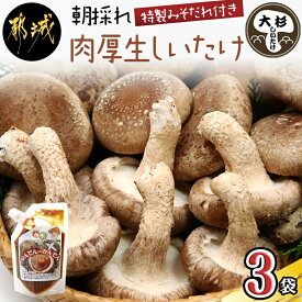 【ふるさと納税】都城産朝採れ肉厚生しいたけ - 特製みそだれ付き 朝採れ生椎茸 約200g×3袋 計600g どんこ椎茸 贈り物・ギフトにも 国産 宮崎県産 チーズとも相性抜群 山之口町産 冷蔵保存/冷凍保存可 送料無料 AA-8701【宮崎県都城市は令和4年度ふるさと納税日本一！】