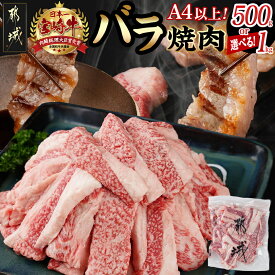 【ふるさと納税】【内容量が選べる！】宮崎牛バラ焼肉(真空)- 牛肉 牛バラ焼肉用カット肉 真空 肉質等級4等級/5等級 国産黒毛和牛 牛ばら肉 バラ肉 焼肉 選べる内容量 500g/1kg 送料無料 SKU-8904【宮崎県都城市は2年連続ふるさと納税日本一！】