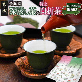 【ふるさと納税】深蒸し茶＆特上白折茶詰合せセット※ポスト投函≪みやこんじょ快速便≫ - おちゃ 緑茶 斉光園の深蒸し茶 常盤 特上白折茶 茶葉セット お茶っ葉 お茶の葉 詰合せ セット 送料無料 LC-C3-003-R 【宮崎県都城市】