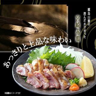 【ふるさと納税】【たしろ屋】赤鶏たたき130g×3P-都城産赤鶏鶏刺したたき真空パック部位のバランスはお任せ送料無料LF-9901【宮崎県都城市は令和2年度ふるさと納税日本一!】