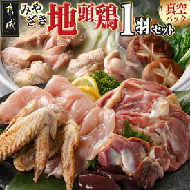 【ふるさと納税】【たしろ屋】みやざき地頭鶏1羽セット - 都城産 地鶏 ご当地 特産品 もも身/むね(はね)身/手羽/ささみ/ハツ/レバー/砂肝 部位ごとに真空パック 小分け おつまみ じどっこ 炭火焼におすすめ 送料無料 MJ-9912 【宮崎県都城市は2年連続ふるさと納税日本一！】