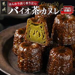 yӂ邳Ɣ[Łzقa藧`ã݂oCIJk`10݂₱񂶂}ց - oCIJk 40g×10  Jk َq/XC[c/fU[g  AA-C211-Q y{