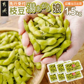 【ふるさと納税】【先行予約！】都城産枝豆(湯あがり娘)1.5kg(250g×6P) - 都城産枝豆 湯あがり娘 1.5kg おつまみ 産地直送 朝どれ 冷蔵配送 えだまめ 国産 生 小分け 先行受付 送料無料 11-B402-7 【宮崎県都城市は2年連続ふるさと納税日本一！】