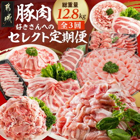 【ふるさと納税】【☆セレクト定期便☆】豚肉好きさんへの定期便(3ヶ月)2月・4月・6月お届け≪2027年お届け≫ - 2ヶ月に1回お届け 豚肉 定期便 切り落とし/しゃぶしゃぶ/焼肉/スライス 全3回 送料無料 S-003-T3-2027【宮崎県都城市】