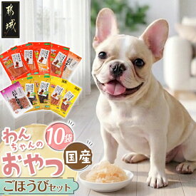 【ふるさと納税】わんちゃんのおやつ★ごほうび10袋セット - 犬用おやつ 新鮮ささみ 新鮮砂肝 チーズスティックささみ包み ささみ犬好棒 ペットフード ドッグフード 発色剤・着色料不使用 国産 送料無料 AA-G703【宮崎県都城市は2年連続ふるさと納税日本一！】