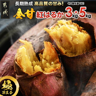 【内容量＆発送時期が選べる！】都城産 長期熟成紅はるか