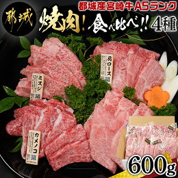 【ふるさと納税】≪A5ランク≫都城産宮崎牛食べ比べ焼肉4...