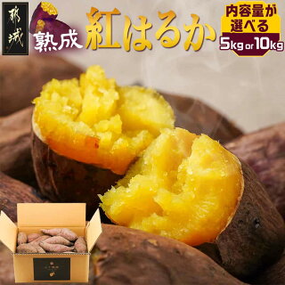 先行受付！【10月お届け】【農家直送】山下農園　熟成シルクスイート 5kg