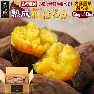 先行予約！【内容量＆お届け月が選べる！】【農家直送】山下農...