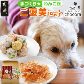 【ふるさと納税】手づくり☆わんご飯「ご褒美セット」 - ささみジャーキー 三色肉団子 犬用 わんちゃん用のご飯 手づくり 送料無料 AA-J501【宮崎県都城市は2年連続ふるさと納税日本一！】
