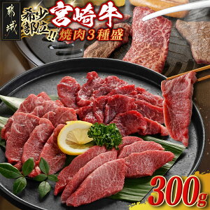 【ふるさと納税】牛肉好き必見!宮崎牛希少部位の焼肉☆お楽しみ3種盛(100g×3種) - 宮崎県産宮崎牛 焼肉用 300g (100g×3種) イチボ/ランプ/ミスジ/トモサンカク/シンシン/クリよりお任せで3種 送