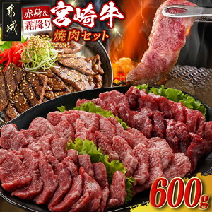 【ふるさと納税】宮崎牛【赤身&霜降り】焼肉セット - 宮崎県産宮崎牛 ウデ モモ バラ 焼肉用 各200g 牛肉 冷凍 焼肉カット 宮崎牛 小分けパック 送料無料 16-J701 【宮崎県都城市は2年連続ふる