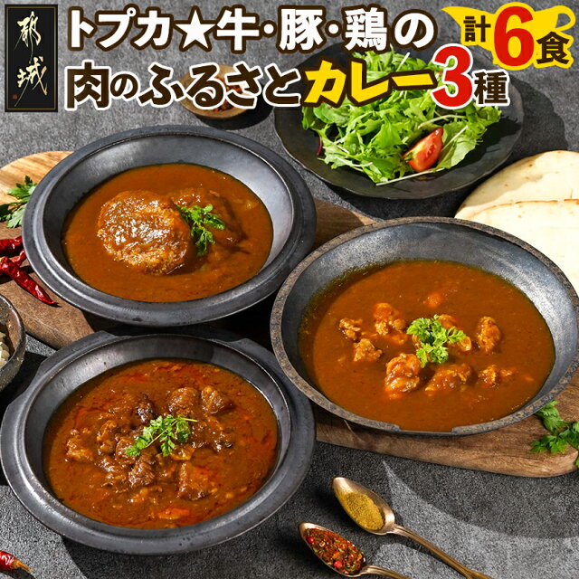 【ふるさと納税】トプカ☆牛・豚・鶏の肉のふるさとカレー3種...