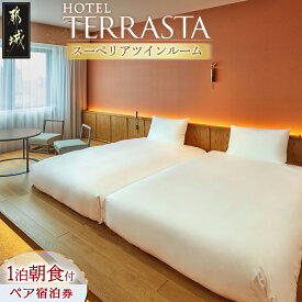 【ふるさと納税】【HOTEL TERRASTA】スーペリアツインルーム≪1泊朝食付 宿泊券2名様分≫ - 1泊朝食付 宿泊券 2名様分 チケット ペア宿泊券 ホテル利用券 ホテル テラスタ 朝食 ビュッフェ Wi-Fiあり 送料無料 74-K501 【宮崎県都城市は2年連続ふるさと納税日本一！】