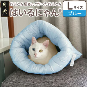 �y�ӂ邳�Ɣ[�Łz�y�T�C�Y���F���I�ׂ�I�z�˂��̂��ӂƂ�u�͂���ɂ��(R)�v - �y�b�g�x�b�h �􂦂� ���{�� �ӂ�ӂ� �N�b�V���� M�T�C�Y L�T�C�Y �I�ׂ�5�F �R�� �h�L �h�_�j ���H ���@�\