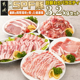 【ふるさと納税】「宮崎SPF豚 」日替わりバラエティ3....