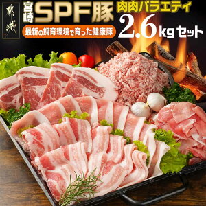 yӂ邳Ɣ[Łzu{SPF؁voGeB2.6kgZbg - {茧Y o [X̓[XXCX [XgJcEgeLp ؃~` Ԑ؂ Ⓚ Ƃ񂩂p ؔ҂ l