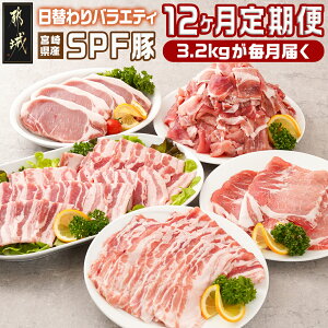 yӂ邳Ɣ[Łzy͂񐔁EԊuIׂIzu{SPF؁vւoGeBZbg - ^pbN Ԑ؂ [XXCX oēp 3/u3/6/12 Y ؓ o