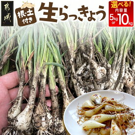 【ふるさと納税】【先行予約！】【内容量が選べる！】根付き土付き生らっきょう≪2027年5月中旬以降順次お届け≫ - 都城産 生らっきょう 5kg/10kg サイズ無選別混合 産地直送 先行受付 予約 送料無料 SKU-L702【宮崎県都城市】