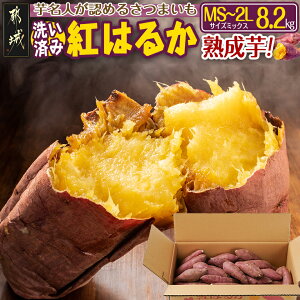 yӂ邳Ɣ[ŁzyZbgeIׂIz𖼐lF߂邳܂w􂢍ς g͂邩x - {茧sY g͂邩 2LTCY/LTCY/MSTCY/MS`2L~bNX 9`11/12`1