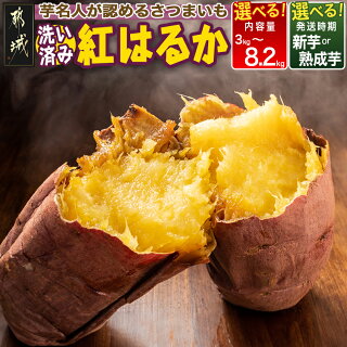 芋名人が認めるさつまいも『洗い済み 紅はるか』