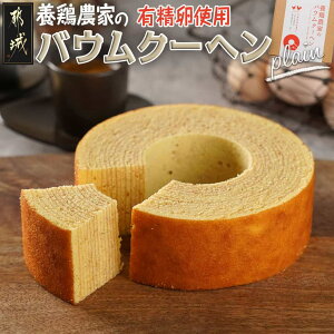 yӂ邳Ɣ[Łz{{_Ƃ聙oEN[w(v[) - oEN[w v[ 1 z[ a13cm×4cm XC[c xc{  LE-K201y{茧ss2NAӂ邳