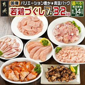 【ふるさと納税】【発送時期が選べる！】国産若鶏づくし7種セット！総重量3.2kg！ - 国産若鶏 真空 ももみ むねみ ささみ チキンバー むねミンチ 味付手羽元 若鶏塩焼き 鶏肉 快速便もあり 配送時期が選べる 送料無料 13-L902【宮崎県都城市は2年連続ふるさと納税日本一！】