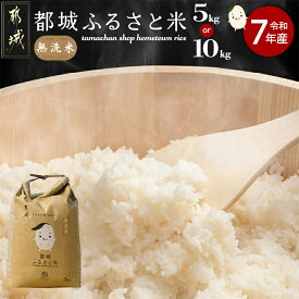 【ふるさと納税】【内容量が選べる！】都城ふるさと米(ひのひかり)無洗米 - 都城産ひのひかり 無洗米 5kg/10kg 都城産 ヒノヒカリ お米 おこめ 単一原料米 送料無料 SKU-9002 【宮崎県都城市は2年連続ふるさと納税日本一！】