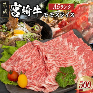 yӂ邳Ɣ[ŁzsY{苍XCX(A5) -  sY{苍 XCX(500g) A5N/5 Yјa ~苍 ĂEԂԂ ̋ Mtg 