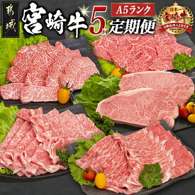 【ふるさと納税】日本一の宮崎牛定期便【毎月29日は都城のお肉でお肉時間】 - 全てA5ランク 全て宮崎牛 特選カルビ焼肉用/牛モモスライス肉/牛モモ焼肉/牛リブローススライス/牛サーロインステーキ 送料無料 T105-5-A001【宮崎県都城市は2年連続ふるさと納税日本一！】