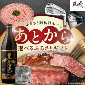 【ふるさと納税】あとからセレクト【ふるさとギフト】10万円 - あとから選べる返礼品 ギフトポイント 10万円分 定期便/宮崎牛/ブランド豚肉/焼酎/うなぎ/牛タン 専用サイトで交換 分割OK 好きな時に交換 送料無料 ASG-100000 【宮崎県都城市は2年連続ふるさと納税日本一！】
