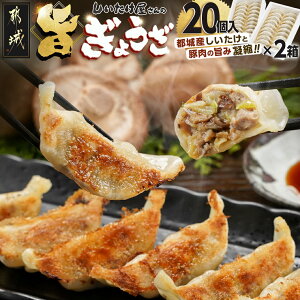 yӂ邳Ɣ[Łz̎|傤 - 傤 |Lq sYEؓgp 20×2 őՂ ĂLq Lq gLq  AA-M101y{茧ss2NA