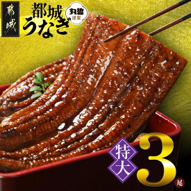 【ふるさと納税】《レビューキャンペーン実施中！》【内容量が選べる！】宮崎県育ちの【特大】うなぎ蒲焼≪山椒・たれ付≫ - 特大うなぎ蒲焼 有頭 宮崎県産 選べる内容量 1尾/2尾/3尾 敬老の日 送料無料 SKU-M302 【宮崎県都城市は2年連続ふるさと納税日本一！】