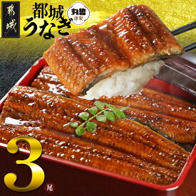 【ふるさと納税】《レビューキャンペーン実施中！》【内容量が選べる！】宮崎県育ちのうなぎ蒲焼≪山椒・たれ付≫ - 真空パック 選べる内容量 2尾/3尾/4尾 個包装 お中元 敬老の日 お歳暮 年内お届け 送料無料 SKU-M301 【宮崎県都城市】
