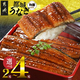【ふるさと納税】《レビューキャンペーン実施中！》【内容量が選べる！】宮崎県育ちのうなぎ蒲焼≪山椒・たれ付≫ - 真空パック 選べる内容量 2尾/3尾/4尾 個包装 丑の日 お中元 敬老の日 お歳暮 年内お届け 送料無料 SKU-M301 【宮崎県都城市】