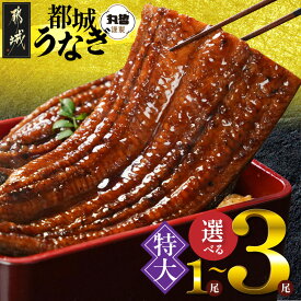 【ふるさと納税】【内容量が選べる！】宮崎県育ちの【特大】うなぎ蒲焼≪山椒・たれ付≫ - 特大うなぎ蒲焼 有頭 宮崎県産 選べる内容量 1尾/2尾/3尾 鰻 国産 冷凍 真空パック 丑の日 土用の丑 送料無料 SKU-M302 【宮崎県都城市は2年連続ふるさと納税日本一！】