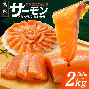 yӂ邳Ɣ[ŁzyeʂIׂIzAgeBbNT[ - 500g/1kg/2kg hg Hp  Ȃ Ⓚ ubN T[ }Ⓚ  ^pbN N͂ N Nz
