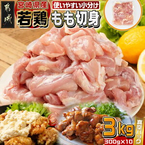 yӂ邳Ɣ[Łz{茧Y{ؐg3kg - Y{ ؐg 300g×10 ^pbN { g `L Ă₫`L 300g̏ { Jbgς { Ⓚz ٓ 1H 1l