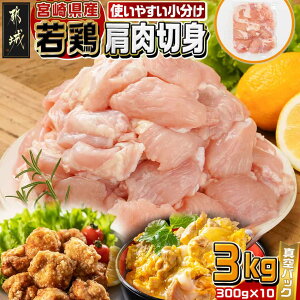 yӂ邳Ɣ[Łz{茧Y{ؐg3kg - {茧Y{ ؐg 300g×10 ^pbN { g/ē 300g̏ 1lO 1H ٓTCY { e  12-M605 y{茧ss2