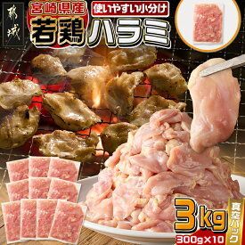 【ふるさと納税】宮崎県産若鶏ハラミ3kg - 宮崎県産若鶏 ハラミ 300g×10 希少部位 真空パック 真空冷凍 炭火焼 焼肉等炒め料理 小分け 国産ハラミ 焼肉 鶏肉 harami おつまみ/BBQ カット済 冷凍配送 送料無料 12-M606 【宮崎県都城市は2年連続ふるさと納税日本一！】