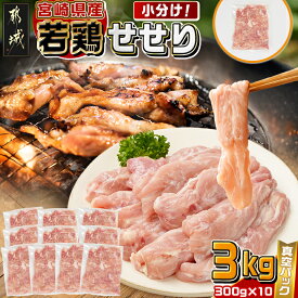 【ふるさと納税】宮崎県産若鶏せせり3kg - 国産若鶏 せせり 小肉 真空パック 小分け 300g×10 真空冷凍 若鶏のせせり 炭火焼/唐揚げ/焼肉/炒め料理 味付け無し ネック 首小肉 鶏カルビ 冷凍配送 送料無料 MJ-M603 【宮崎県都城市は2年連続ふるさと納税日本一！】