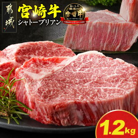 【ふるさと納税】【セット内容＆発送時期が選べる！】宮崎牛ステーキ - 宮崎牛 宮崎県産 シャトーブリアン/ヒレ ステーキ肉 ミヤチク 黒毛和牛 冷凍 送料無料 SKU-N205 【宮崎県都城市は2年連続ふるさと納税日本一！】