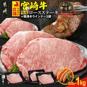 yӂ邳Ɣ[Łz{Y_Ɖsr[Ly[{ItyIׂIz{苍[XXe[L - {茧Y{苍 [X Iׂ閇 250g 2/4 Iׂ ~`N 