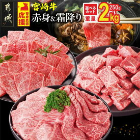 【ふるさと納税】年内発送 12月お届け 総合＆ジャンル2冠達成 畜産農家応援【部位＋カット＋重量＋発送時期が選べる！】宮崎牛【赤身】or【赤身＆霜降り】- 選べるカット 宮崎牛 牛肉 250g 500g 1kg 2kg 送料無料 SKU-N203【宮崎県都城市】