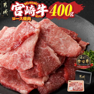 yӂ邳Ɣ[Łz{苍[Xē400g - {苍 sY [Xē 400g×1 јa {茧 Y {Hit it 4ȏ   13-N301 y{茧ss2NA