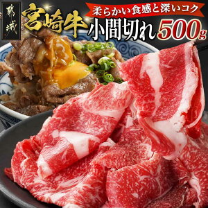 yӂ邳Ɣ[Łz{苍Ԑ؂500g - uh sY{苍 ܐ؂  [X//Ef 500g×1pbN Ⓚ Yјa  A4N/A5N uh Ă/ 