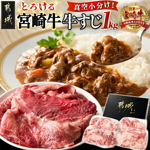 yӂ邳Ɣ[Łz{苍1kg(250g×4P) - uh јa Y  1250g ^pbN   XW ύݗ/J[/ł  AA-N301 y{茧ss2NAӂ
