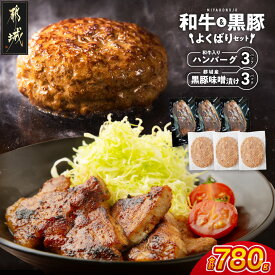 【ふるさと納税】和牛入りハンバーグ＆黒豚味噌漬けセット - 宮崎県産和牛 豚肉使用 和牛入りハンバーグ 160g×3枚 都城産黒豚 ロースみそ漬け 真空 個包装 送料無料 N4-007【宮崎県都城市】